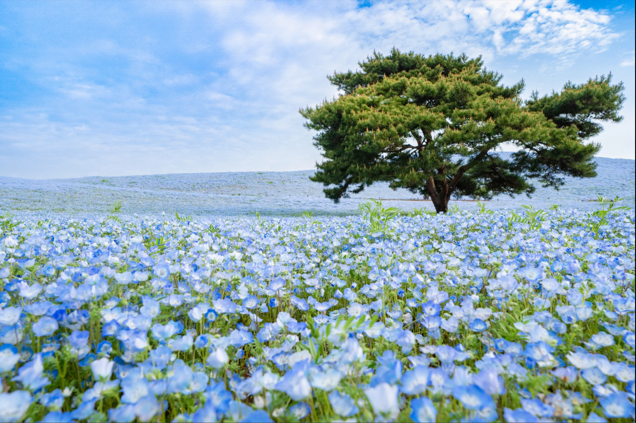 Yêu những điều không hoàn hảo - Haemin